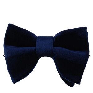 Bold Blue Striped Bow Tie